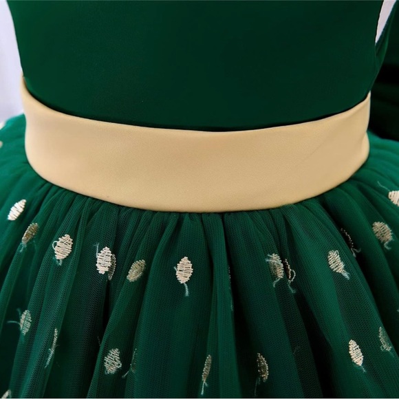 🤩 NEW ITEM! Green and Gold Toddler Girl Christmas dress - Picture 3 of 7